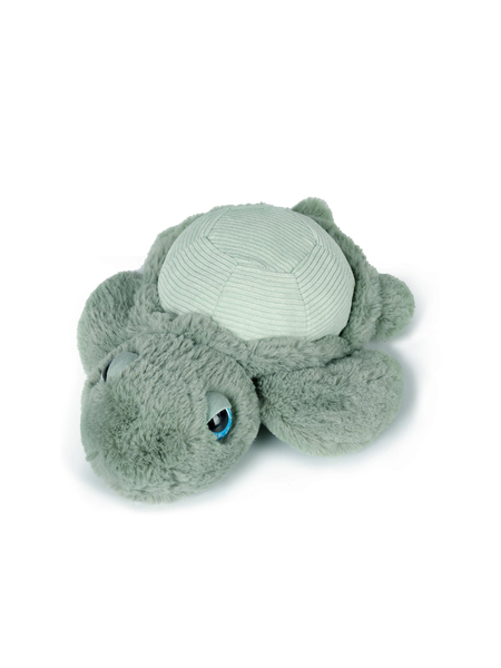 Little Tyler Turtle