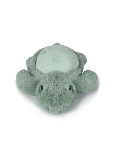 Little Tyler Turtle