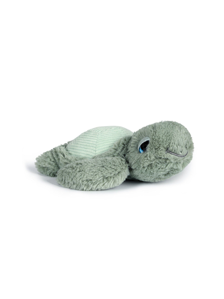 Little Tyler Turtle
