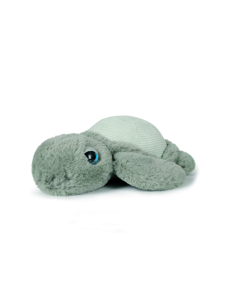 Little Tyler Turtle