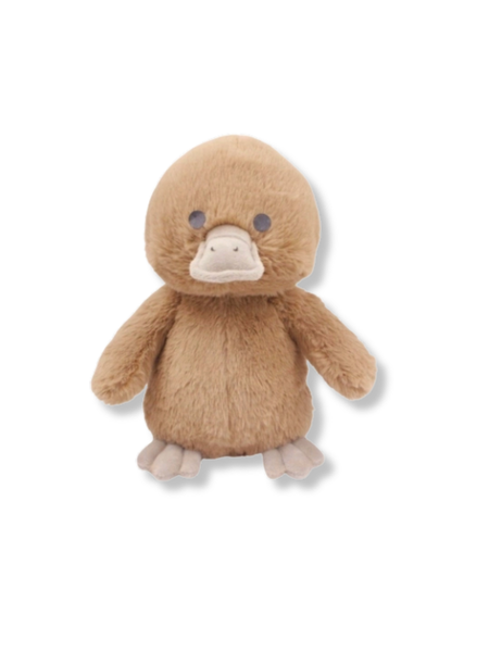 River The Platypus