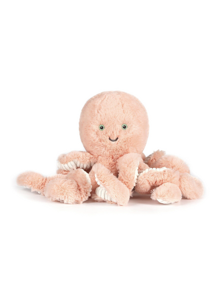 Little Cove Octopus