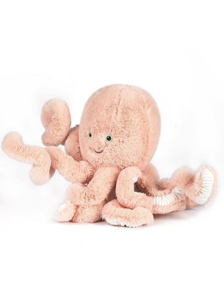 Little Cove Octopus