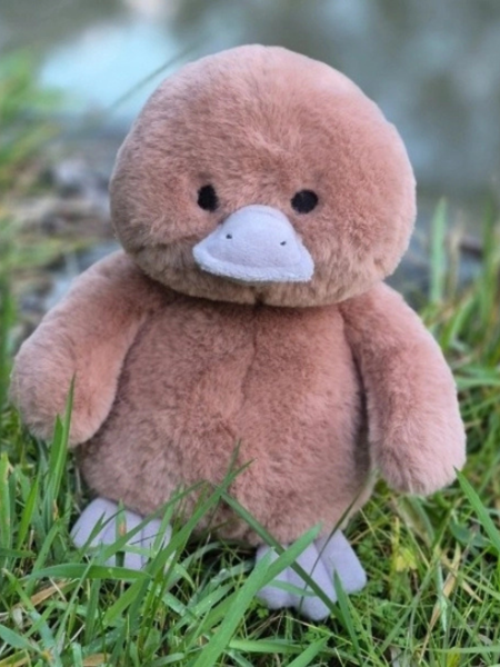 River The Platypus