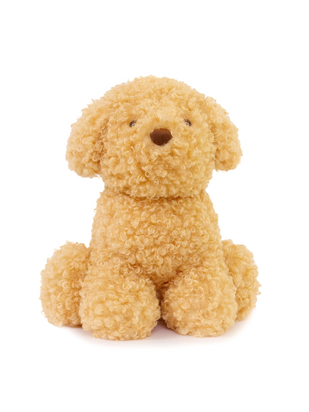 Luca Labradoodle