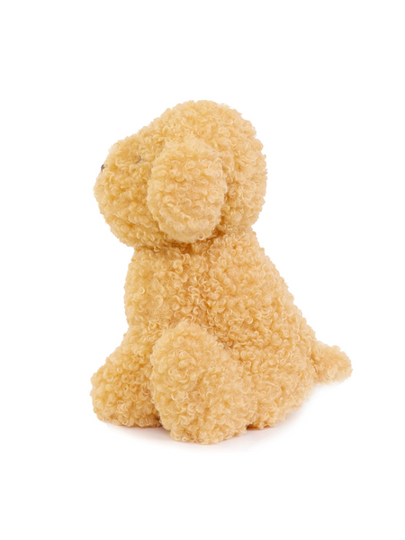Luca Labradoodle