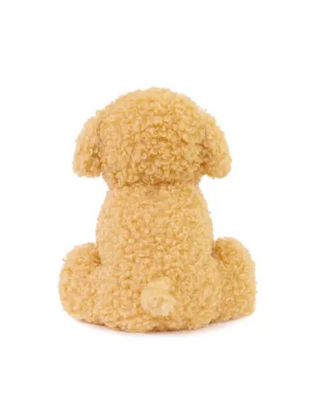 Luca Labradoodle