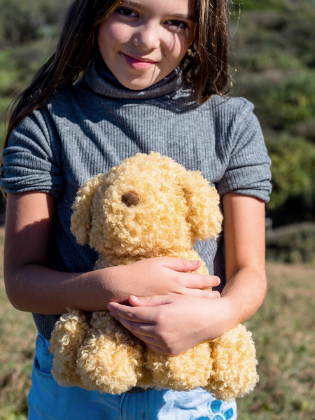 Luca Labradoodle
