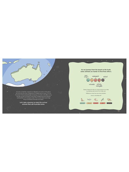Australian Animals From Beach To Bush