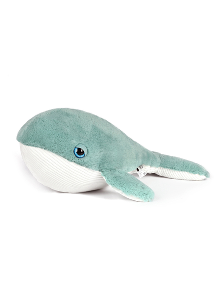 Hurley Whale